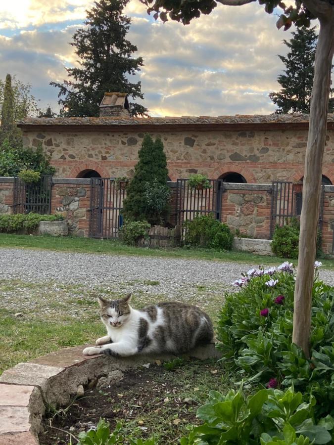 Agriturismo Il Pozzo Castiglione dʼOrcia Eksteriør bilde