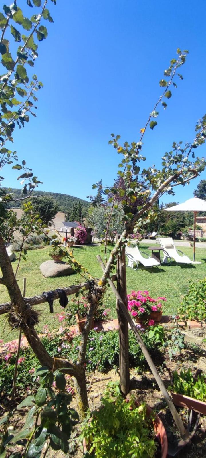 Agriturismo Il Pozzo Castiglione dʼOrcia Eksteriør bilde