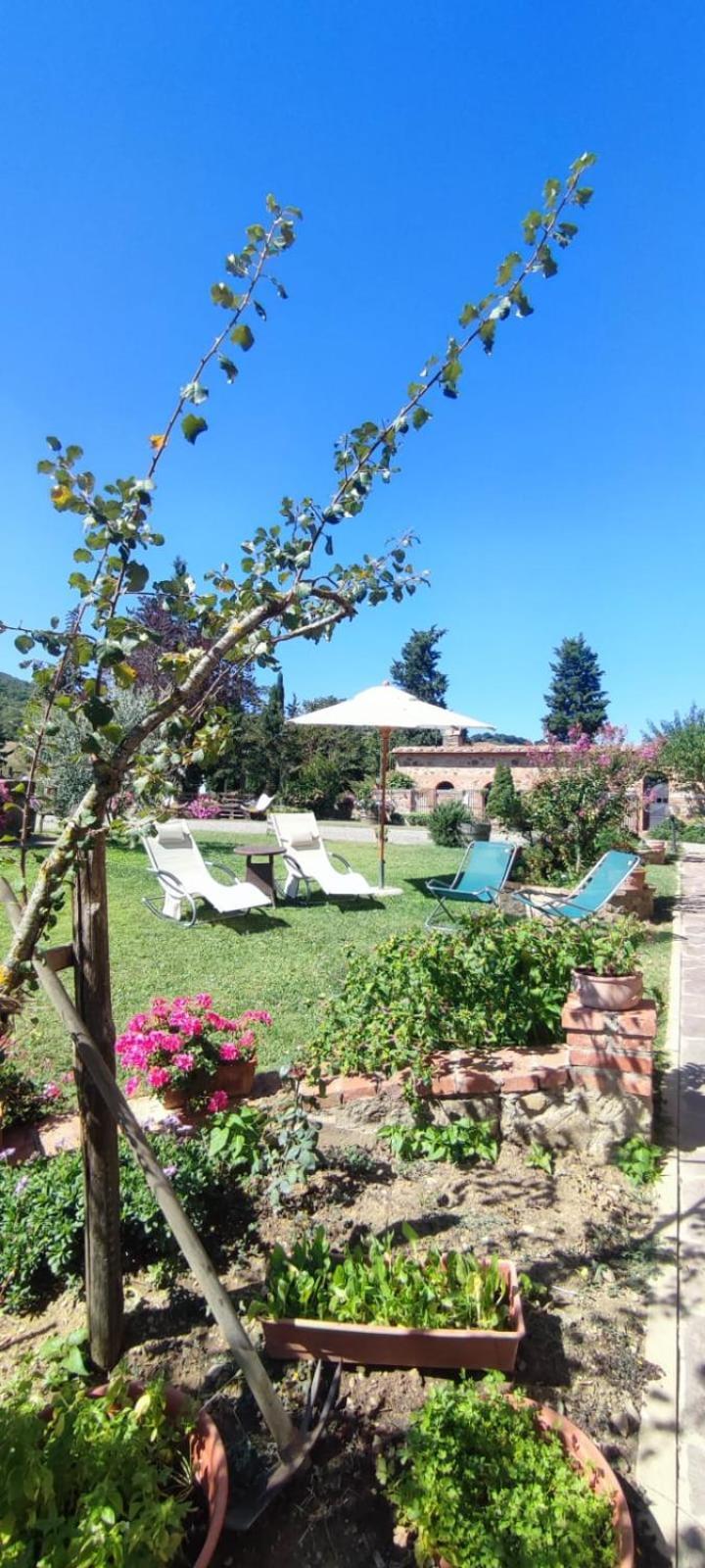 Agriturismo Il Pozzo Castiglione dʼOrcia Eksteriør bilde